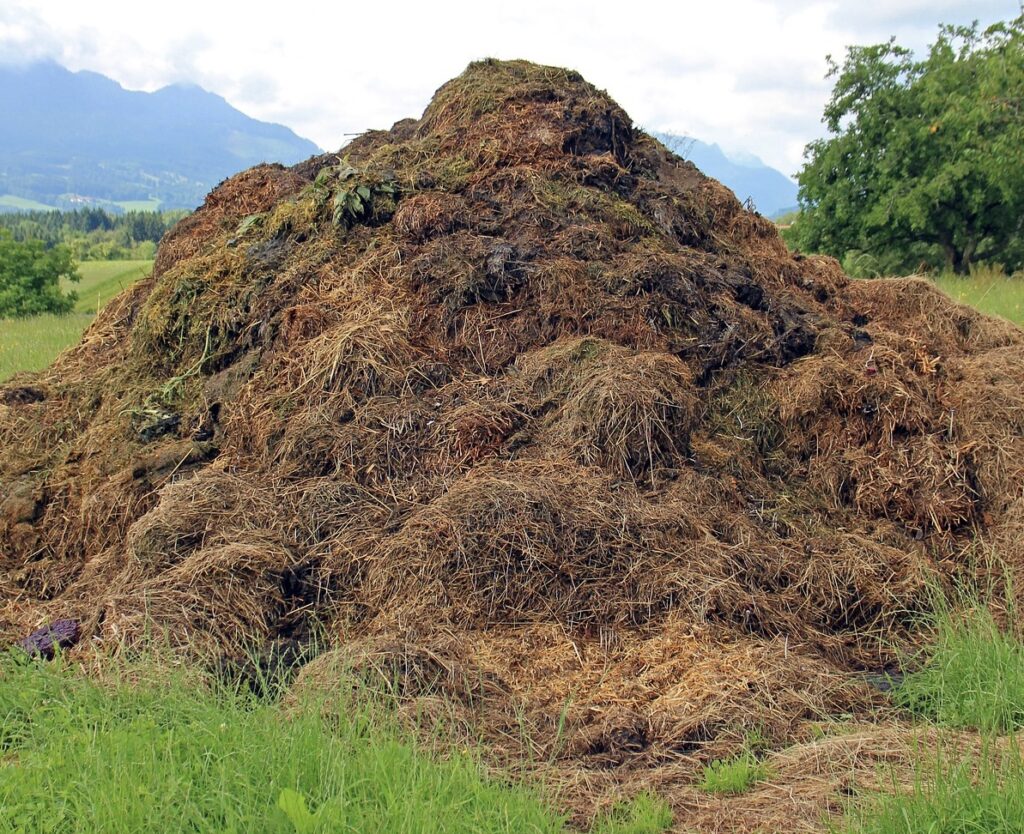 biodéchet compostage